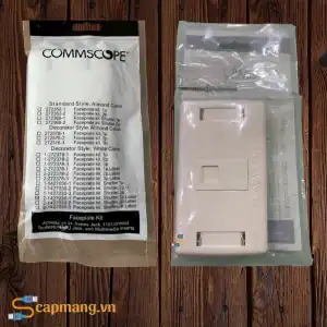 Bao bì Mặt nạ mạng 1 cổng, màu trắng 2-1427030-1 Commscope/AMP