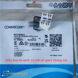 Mẫu bao bì mới Ổ cắm mạng cat6 Commscope/AMP mã 1375055-1