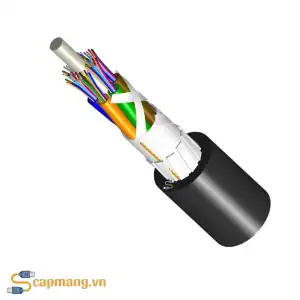 Cáp quang 24FO Singlemode OS2 mã 760252037 Commscope/AMP