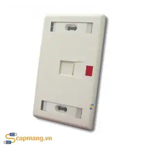 Mặt nạ mạng 1 cổng HCN màu Almond mã 272368-1