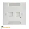 Mặt nạ mạng hình vuông 2 cổng, màu trắng 760245389 Commscope/AMP