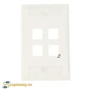 Mặt nạ mạng hình chữ nhật 4 cổng, màu trắng 1-2111011-3 Commscope/AMP