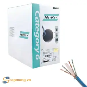Cáp mạng Cat6 hiệu Panduit mã NUC6C04BU-FE