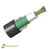 Cáp quang 8FO OS2 có bọc giáp mã 760003939 Commscope/AMP