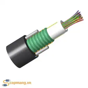 Cáp quang 8FO OS2 có bọc giáp mã 760003939 Commscope/AMP