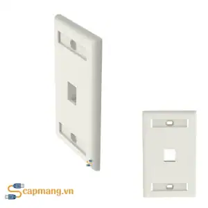 Mặt nạ mạng 1 cổng hiệu Panduit, mã NK1FIWY