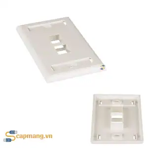 Mặt nạ mạng 2 cổng hiệu Panduit, mã NK2FIWY