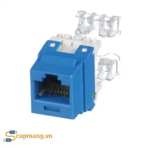 Nhân mạng Cat6 Panduit mã NK688MBU
