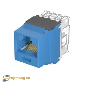 Nhân mạng Cat6A Panduit, mã NK6X88MBU